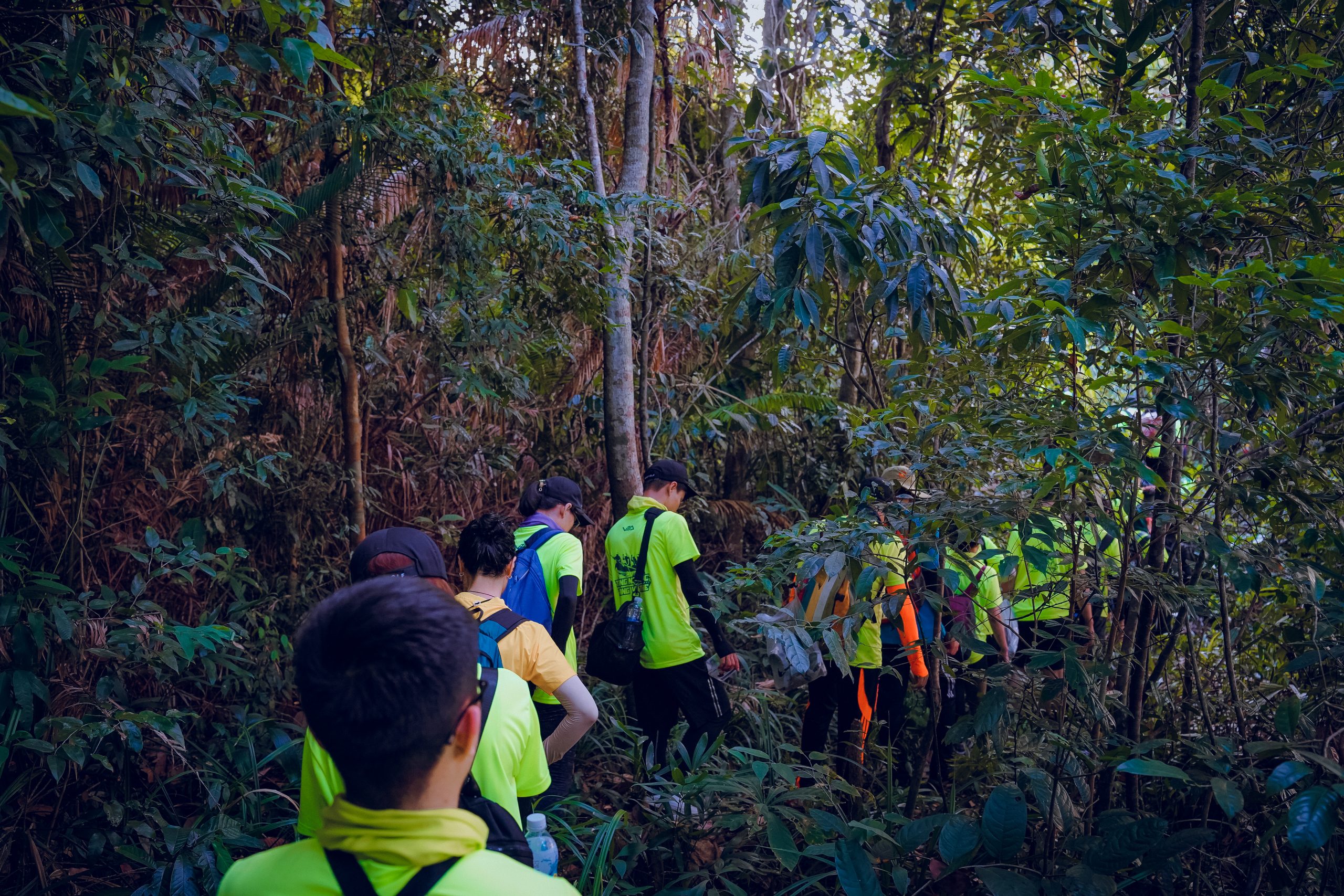 trekking thâp bát đại thụ hang sói group