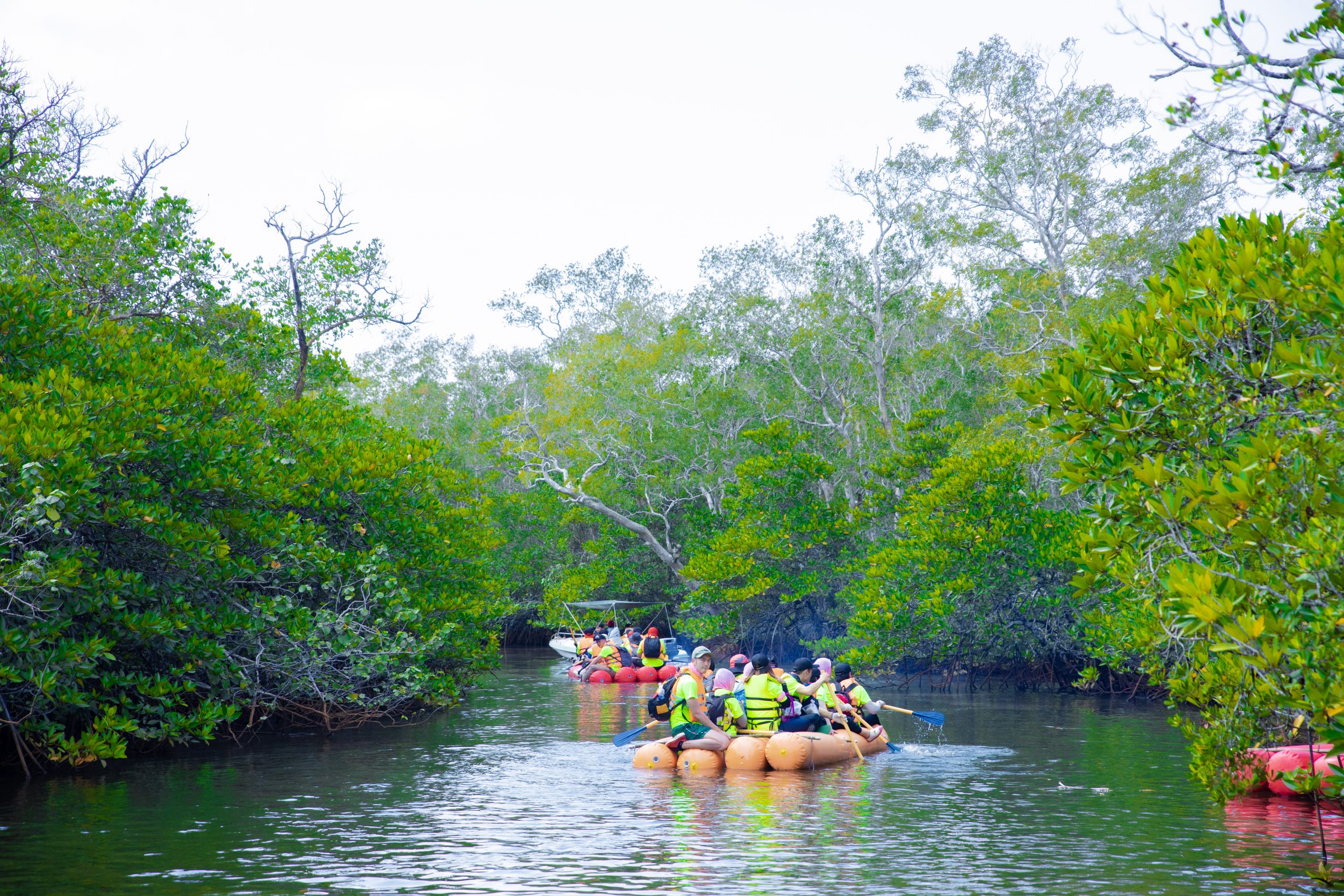 trekking thâp bát đại thụ hang sói group