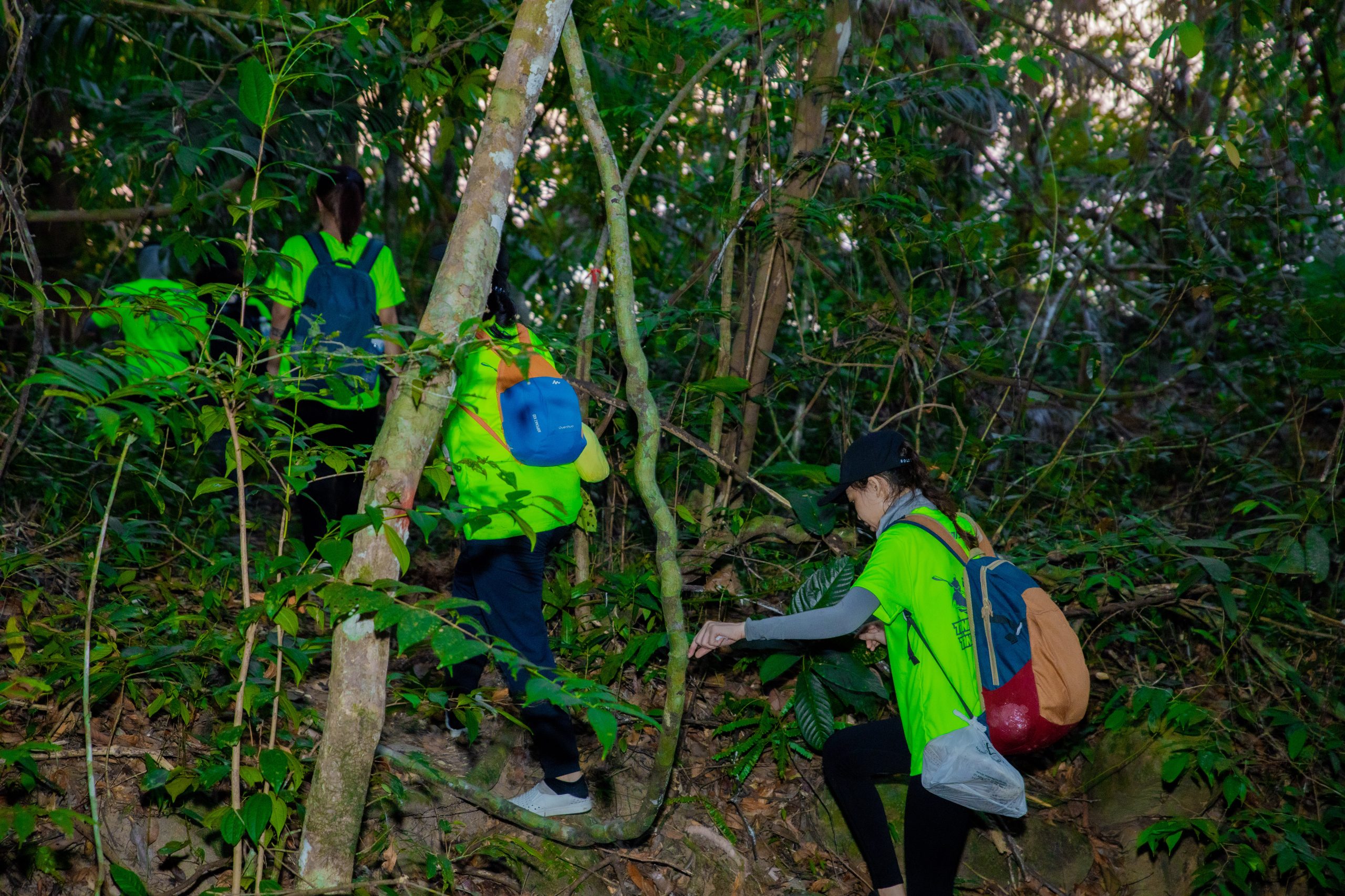 trekking thâp bát đại thụ hang sói group