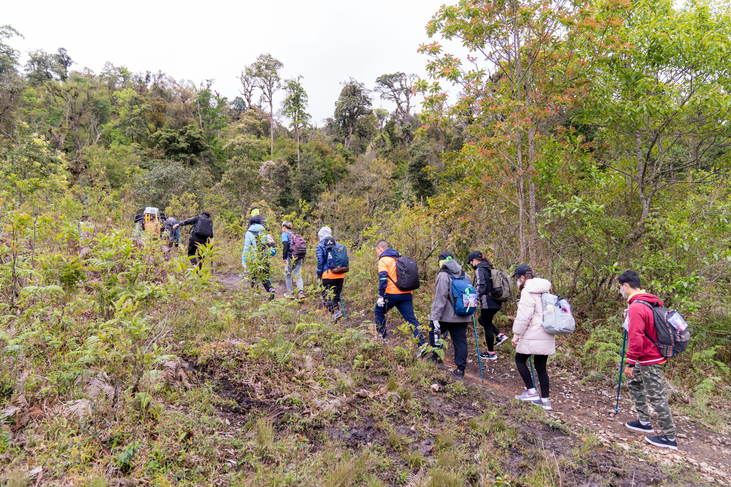 trekking Lảo Thẩn Hang Sói