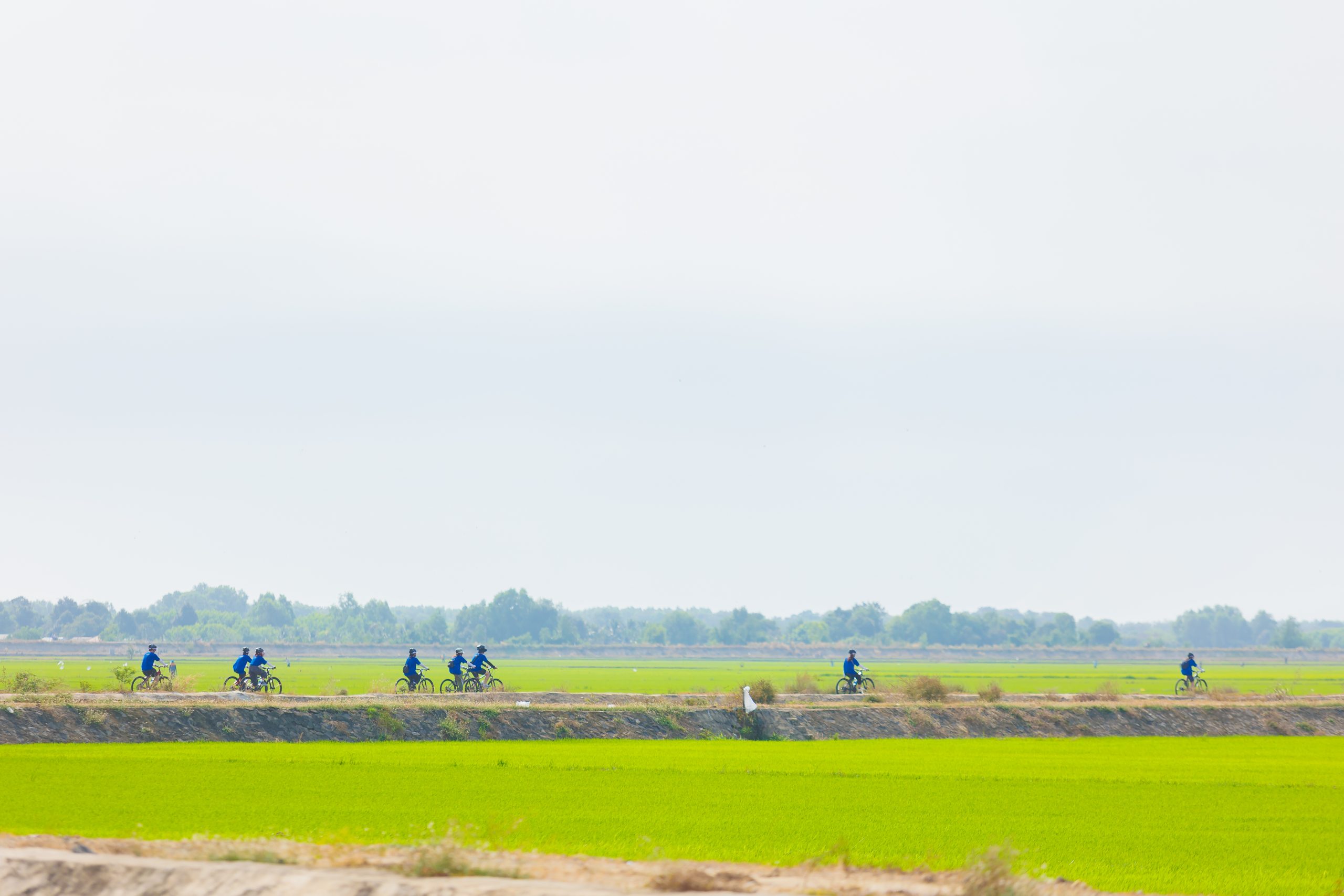 Biking Cánh Đồng Lúa Hang Sói