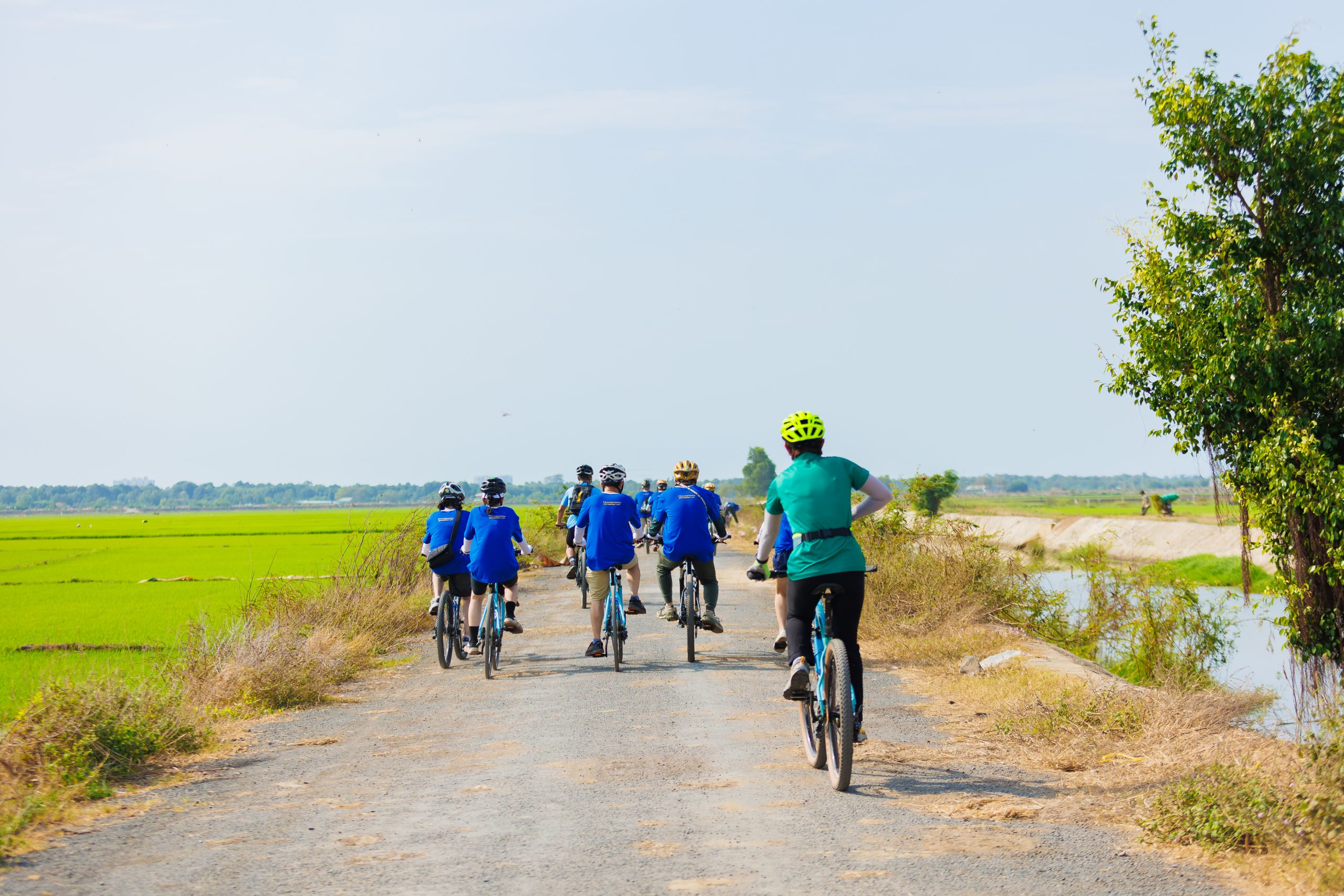 Biking Cánh Đồng Lúa Hang Sói