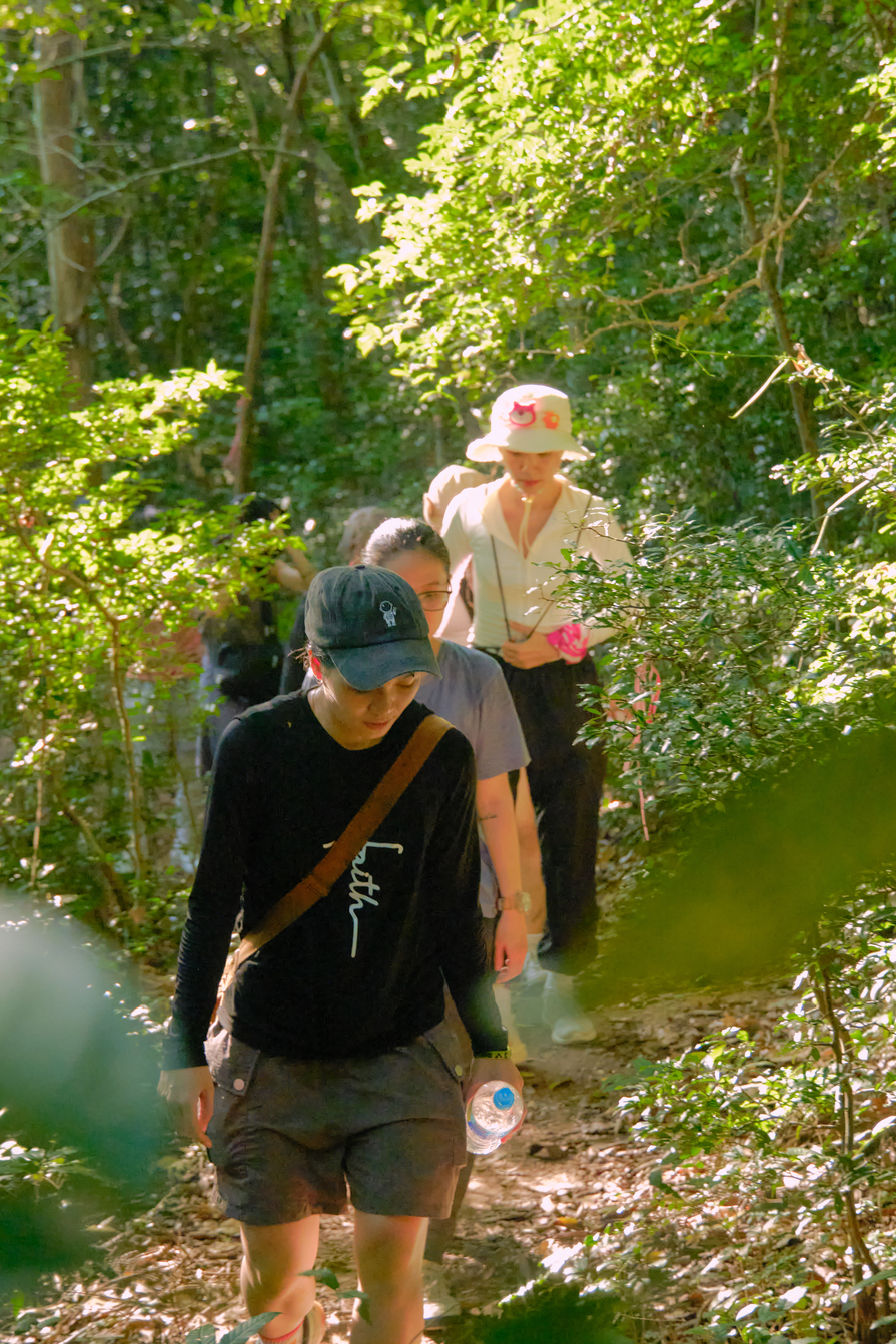 Trekking Đỉnh Tầm Bồ Hang Sói