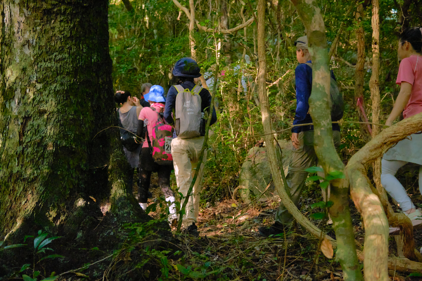 Trekking Đỉnh Tầm Bồ Hang Sói