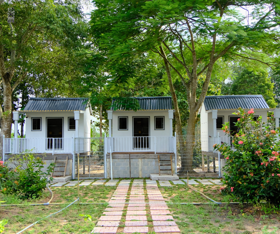 trải nghiệm ong dú tại hang sói